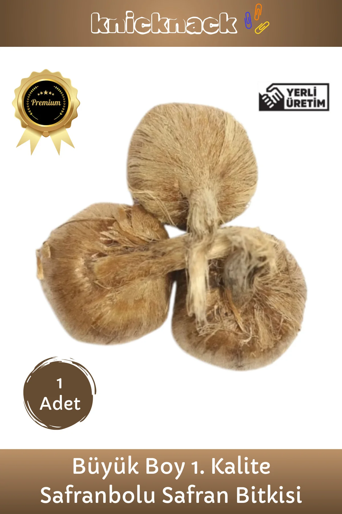 Premium Seri Dikime Hazır Yerli Üretim Büyük Boy 1. Kalite Safranbolu Safran Bitkisi Soğanı 1 Adet