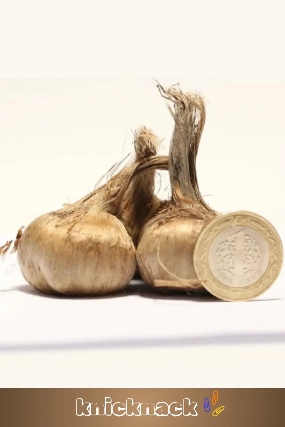 Premium Seri Dikime Hazır Yerli Üretim Büyük Boy 1. Kalite Safran