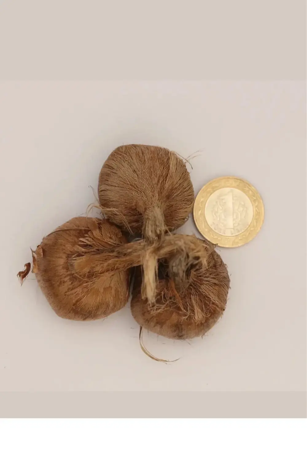 Premium Seri Dikime Hazır Yerli Üretim Büyük Boy 1. Kalite Safran