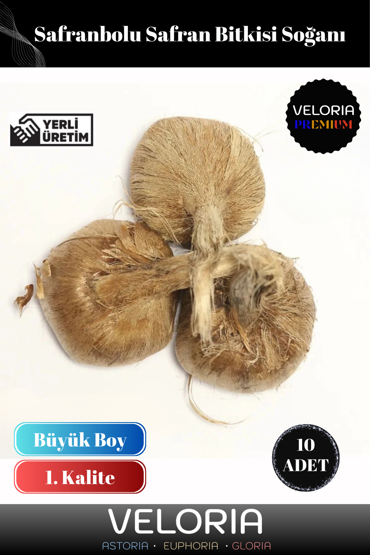 Premium Seri Yerli Üretim Dikime Hazır Büyük Boy 1. Kalite Safran