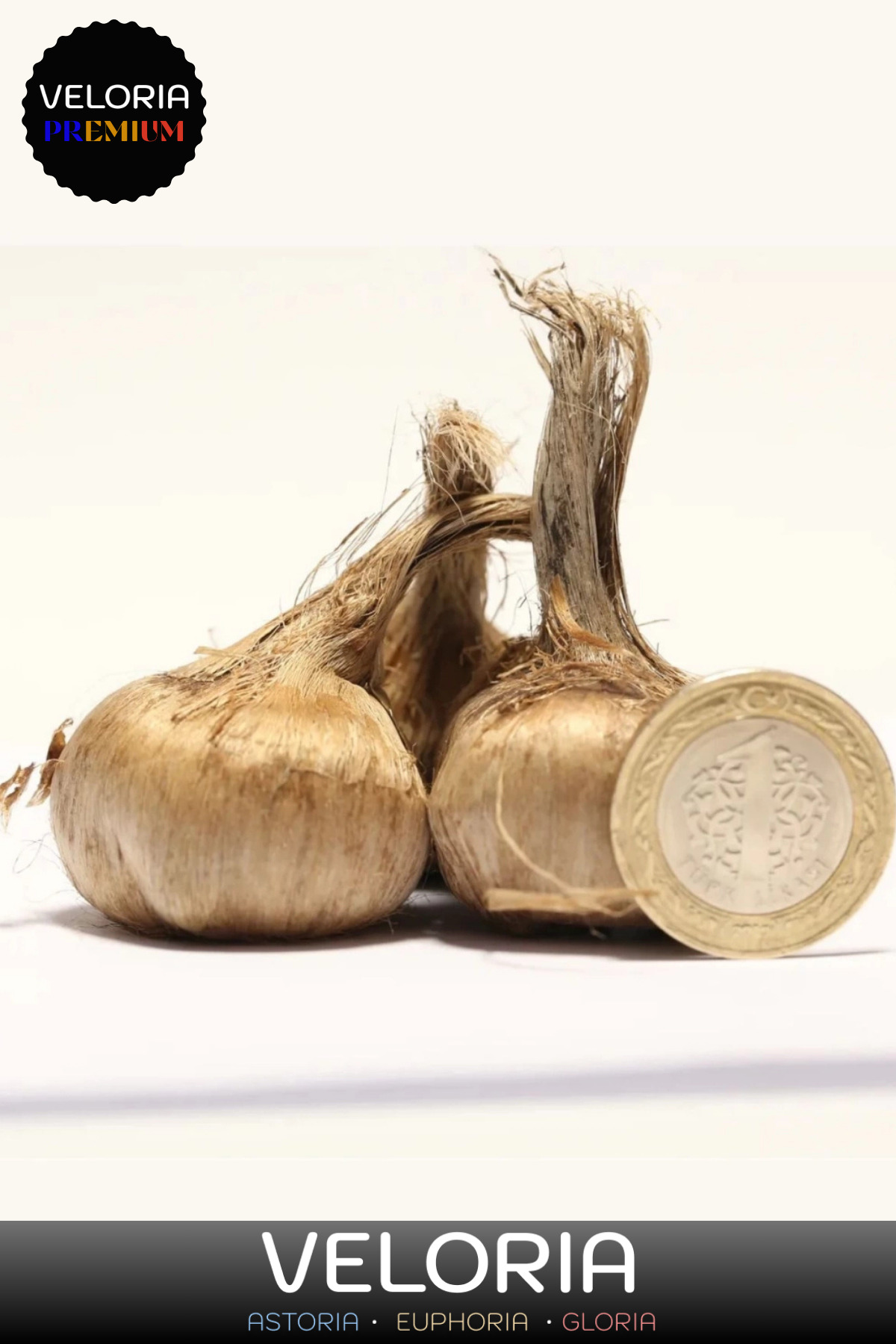 Premium Seri Yerli Üretim Dikime Hazır Büyük Boy 1. Kalite Safran