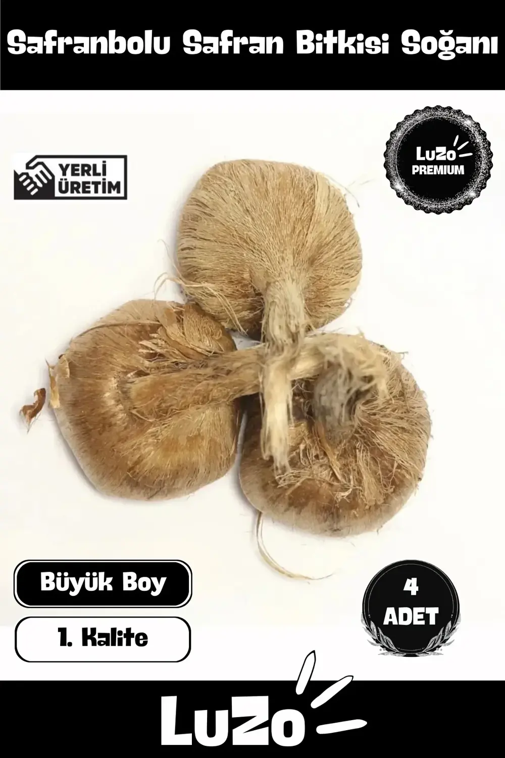 Premium Seri Yerli Üretim Dikime Hazır Büyük Boy 1. Kalite Safran