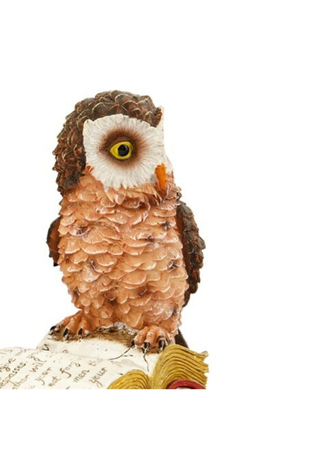 Vitale Pretty 2 Li Bilge Baykuş Ak.Bz0148