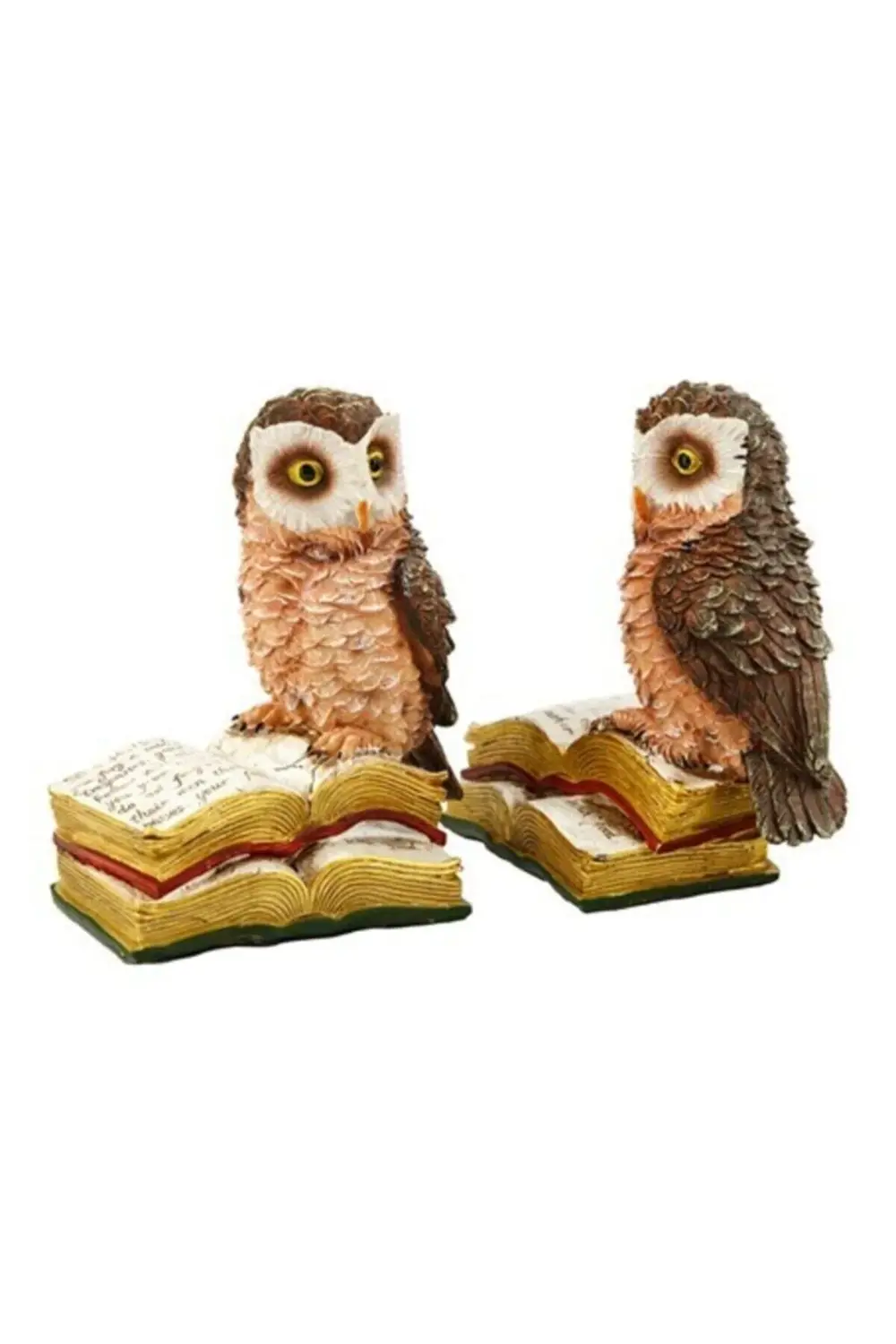 Pretty 2 Li Bilge Baykuş AK.BZ0148