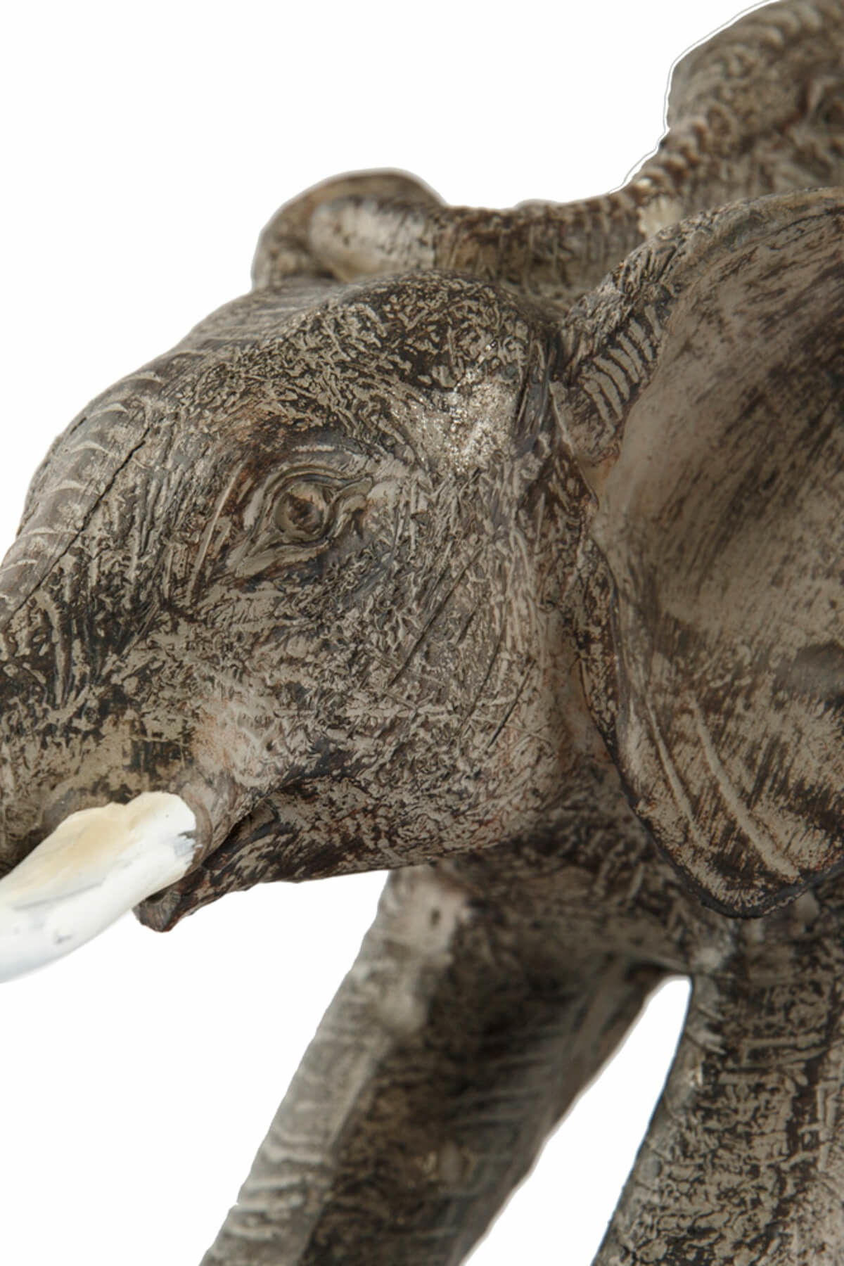 Vitale Pretty Anne Yavru Fil Biblo Ak.Bz0133