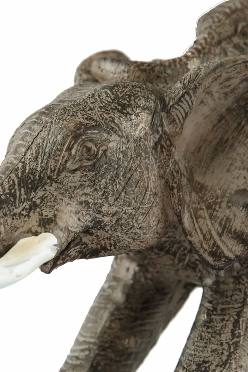 Pretty Anne Yavru Fil Biblo AK.BZ0133