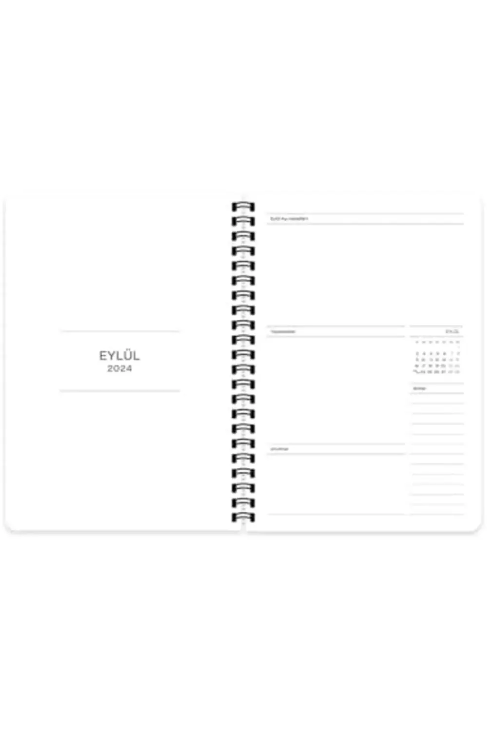 prhshop Color 16 * 23 Spiralli Akademik Ajanda - Pötikare Life 10