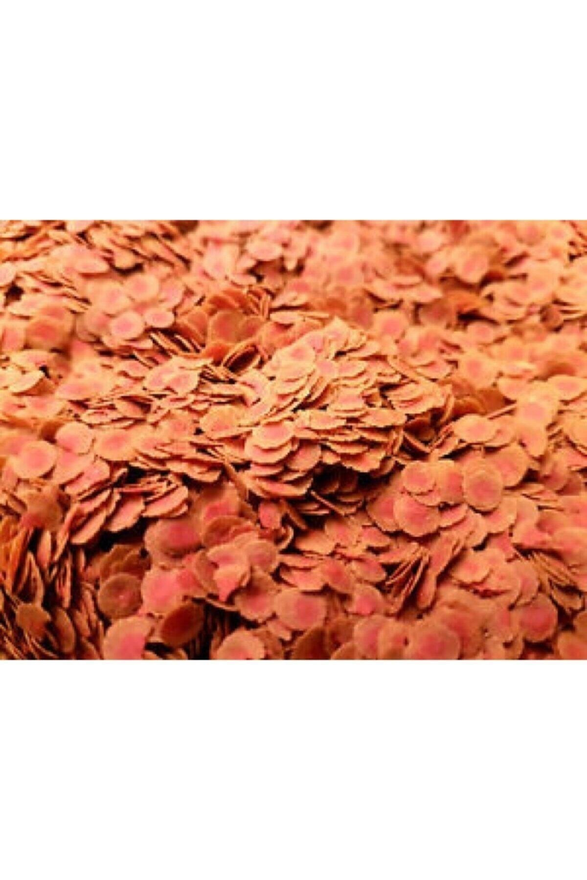 Pro Color Pul Balık Yemi 100 Gr