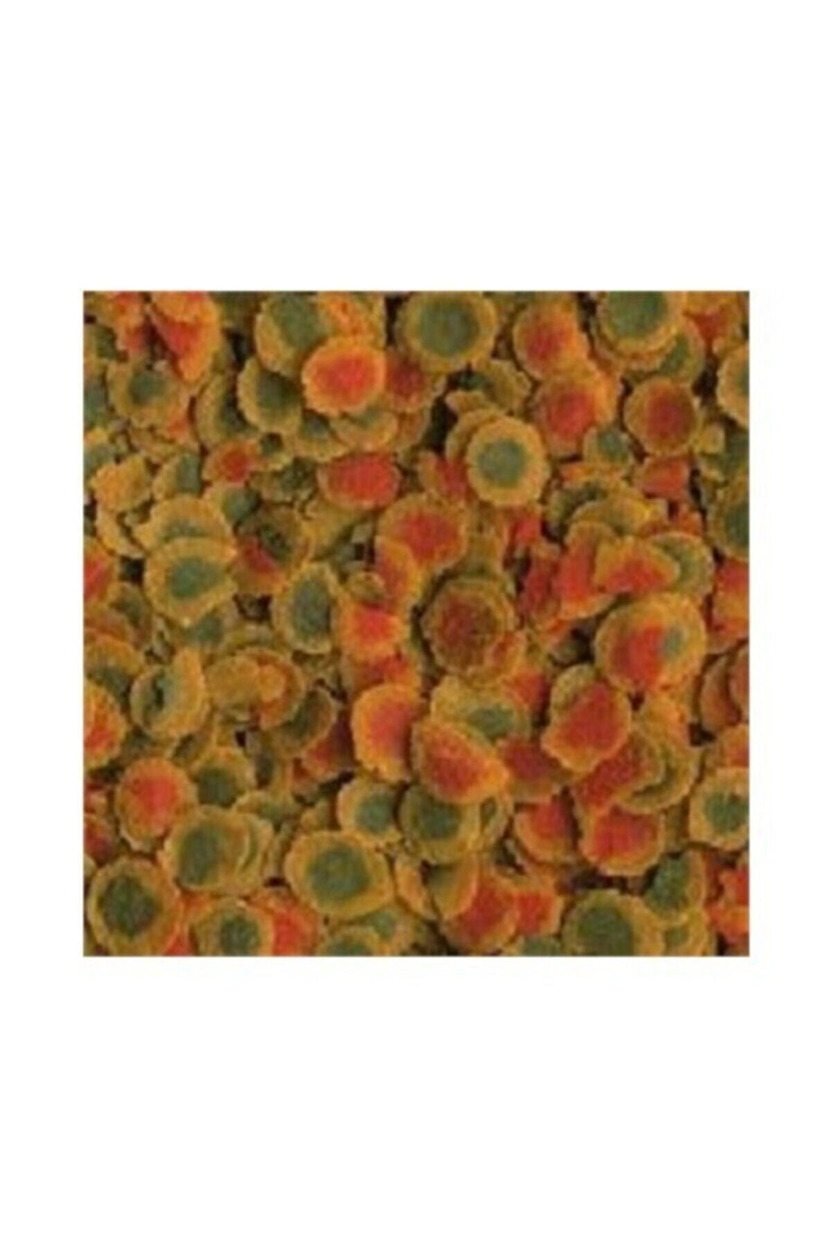 Pro Energy 100gr Balık Yemi