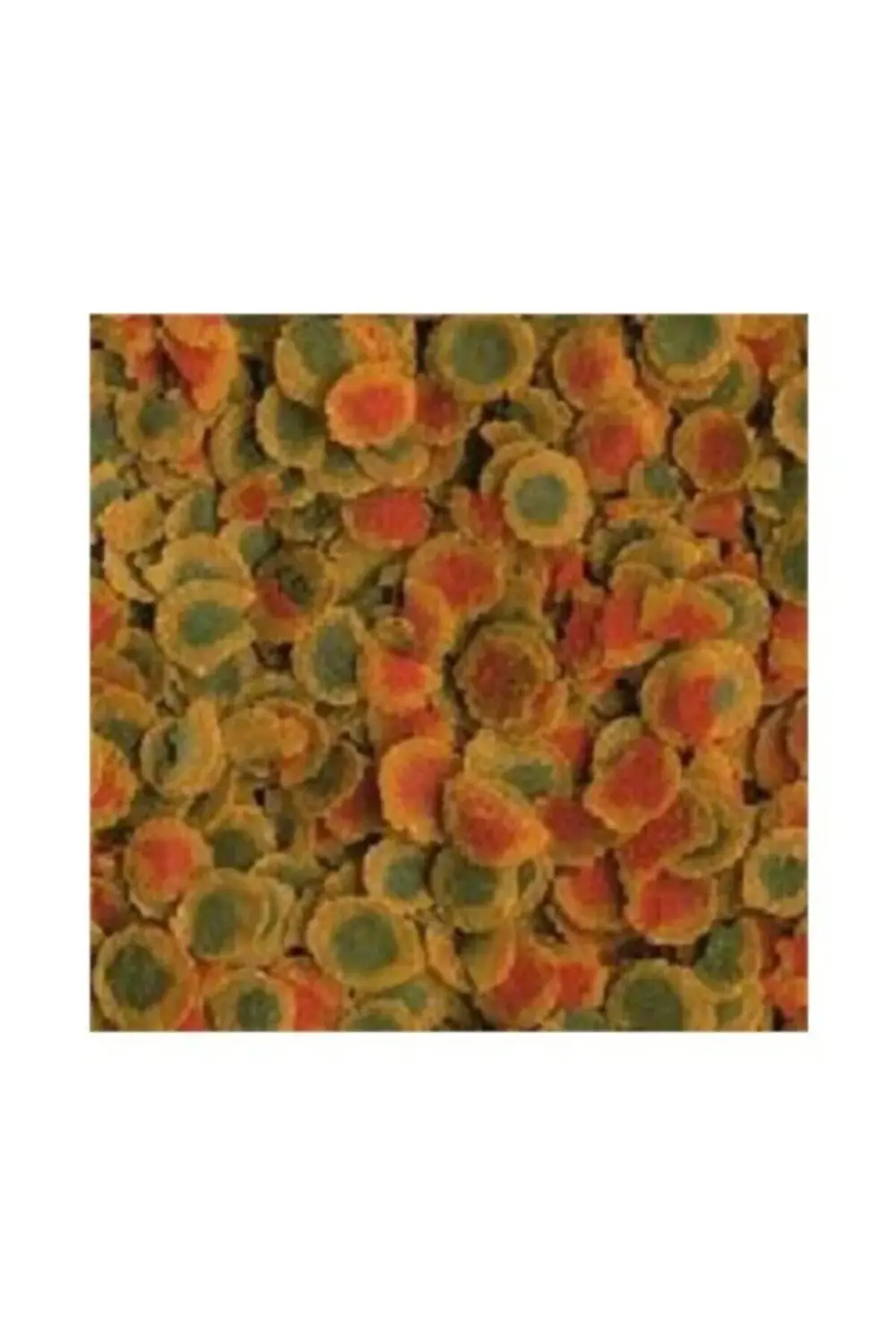 Pro Energy 100gr Balık Yemi