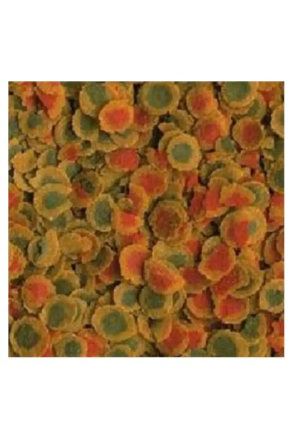 Pro Energy 100gr Balık Yemi