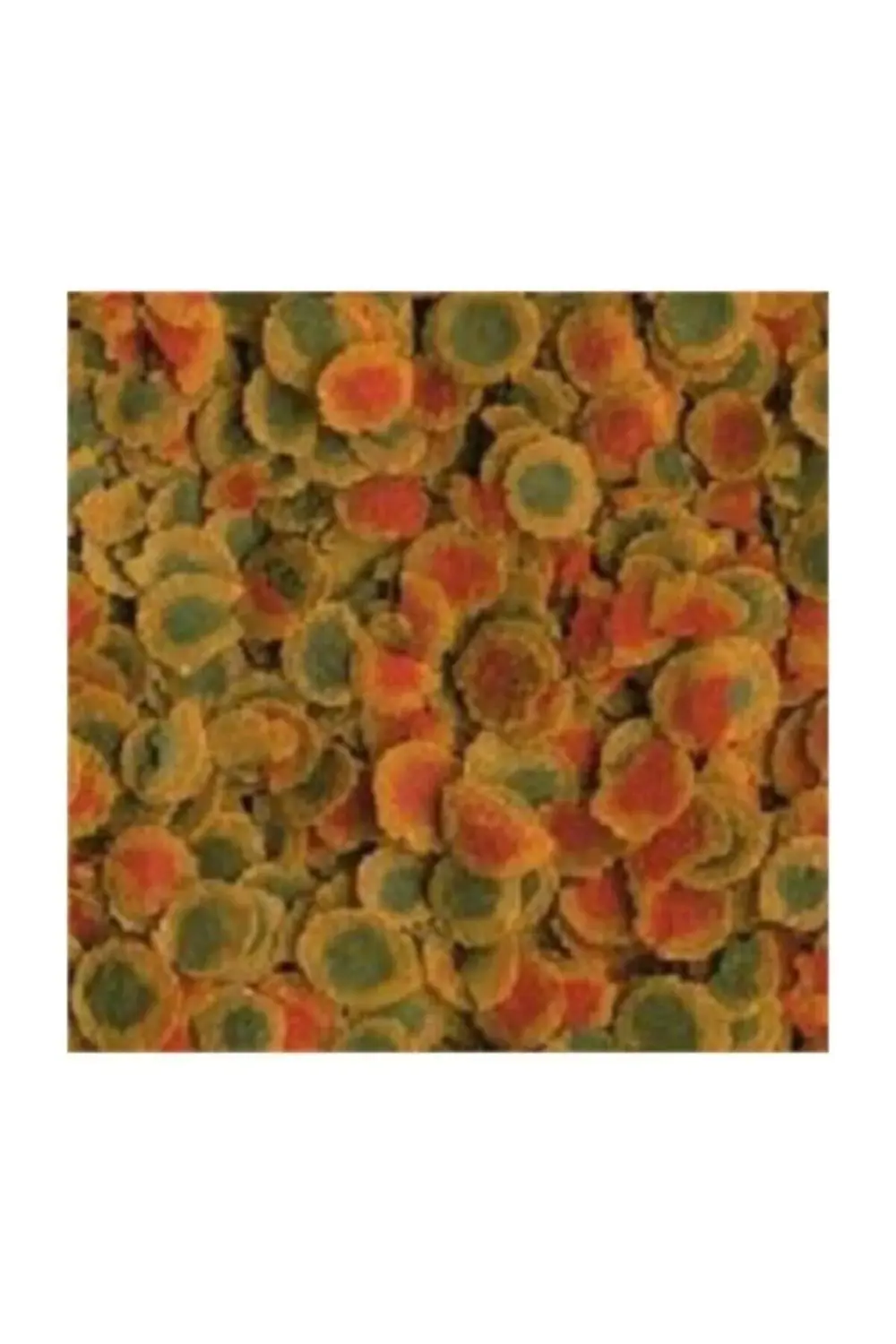 Pro Energy 500gr. Balık Yemi