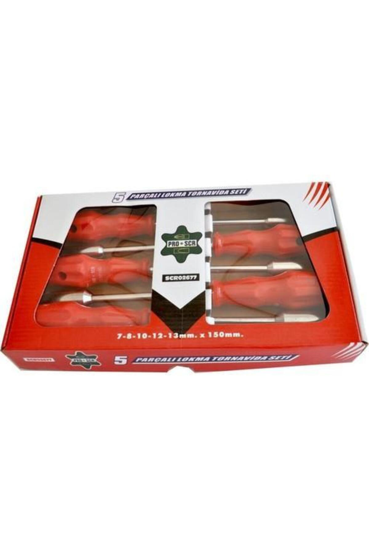 Safe Group Pro-Scr 02677 Lokma Tornavida Seti 5 Parça