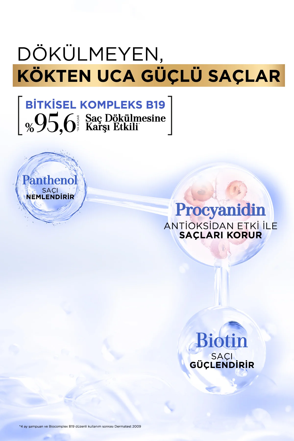 Procyanıdın & Biotin Dökülen Saçlar için Anti Stres Şampuanı 360 ml - Dökülme Karşıtı Şampuan Procyanıdın & Biotin Dökülen Saçlar için Anti Stres Şampuanı 360 ml - Dökülme Karşıtı Şampuan
