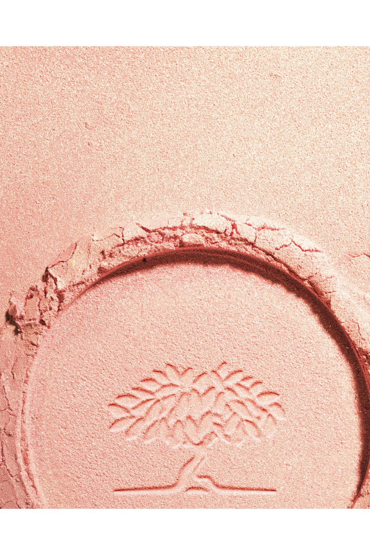 Prodigieux Çok Amaçlı Bronzlaştırıcı Pudra 9,5 gr