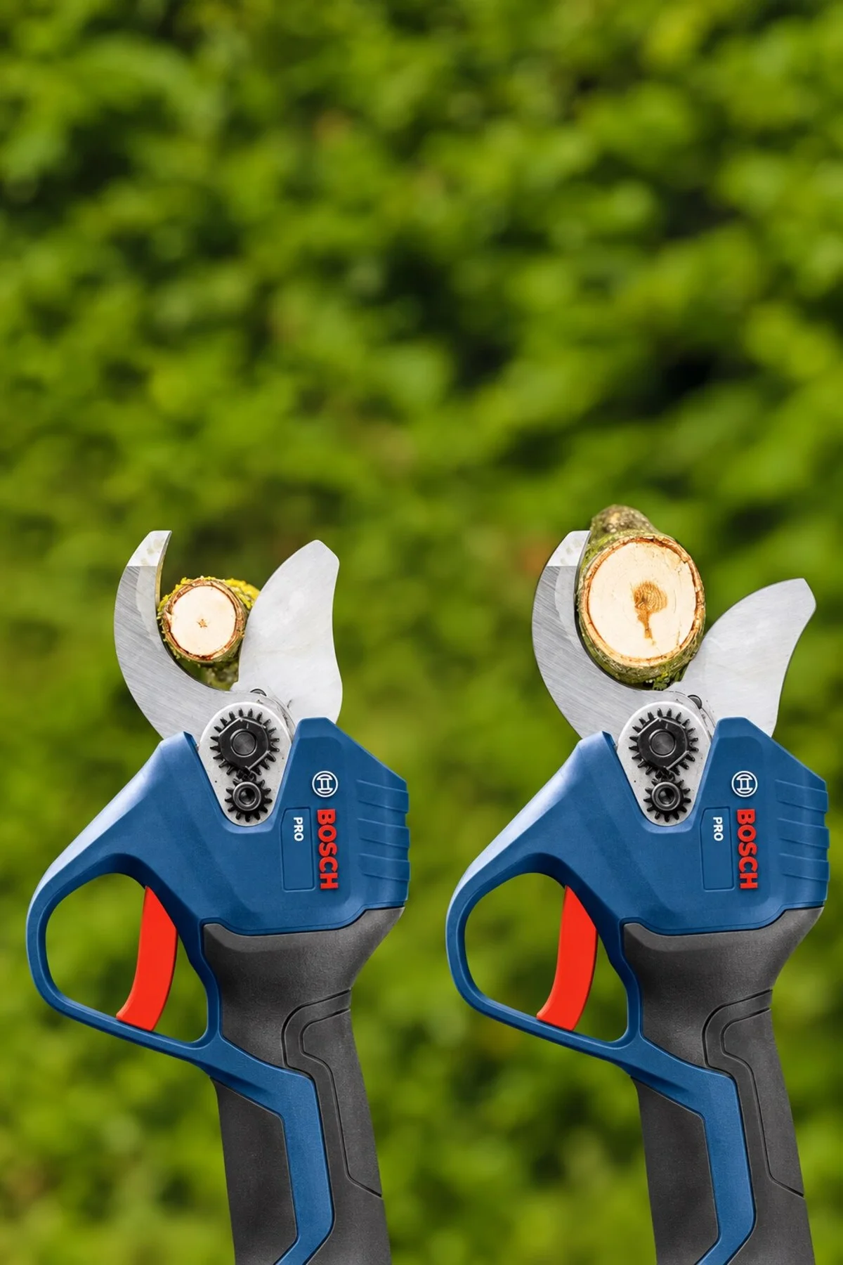 Profesyonel Akülü Budama Makası Seti Budam Makası Dal Budama Güçlü Çene Yapısı 32 Mm Profesyonel Akülü Budama Makası Seti Budam Makası Dal Budama Güçlü Çene Yapısı 32 Mm