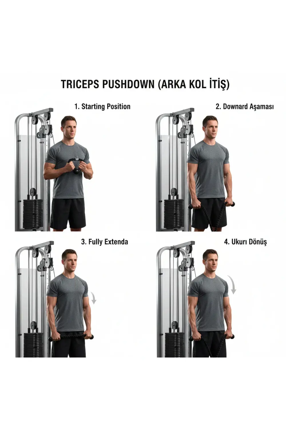 Profesyonel Arka Kol Halatı -Çok Yönlü Egzersiz Aparatı-Karın Omu