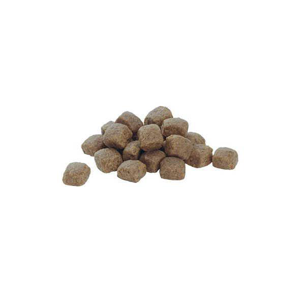 Proplan Senior Medium Large Somon Yaşlı Köpek Maması 1 Kg AÇIK Proplan Senior Medium Large Somon Yaşlı Köpek Maması 1 Kg AÇIK