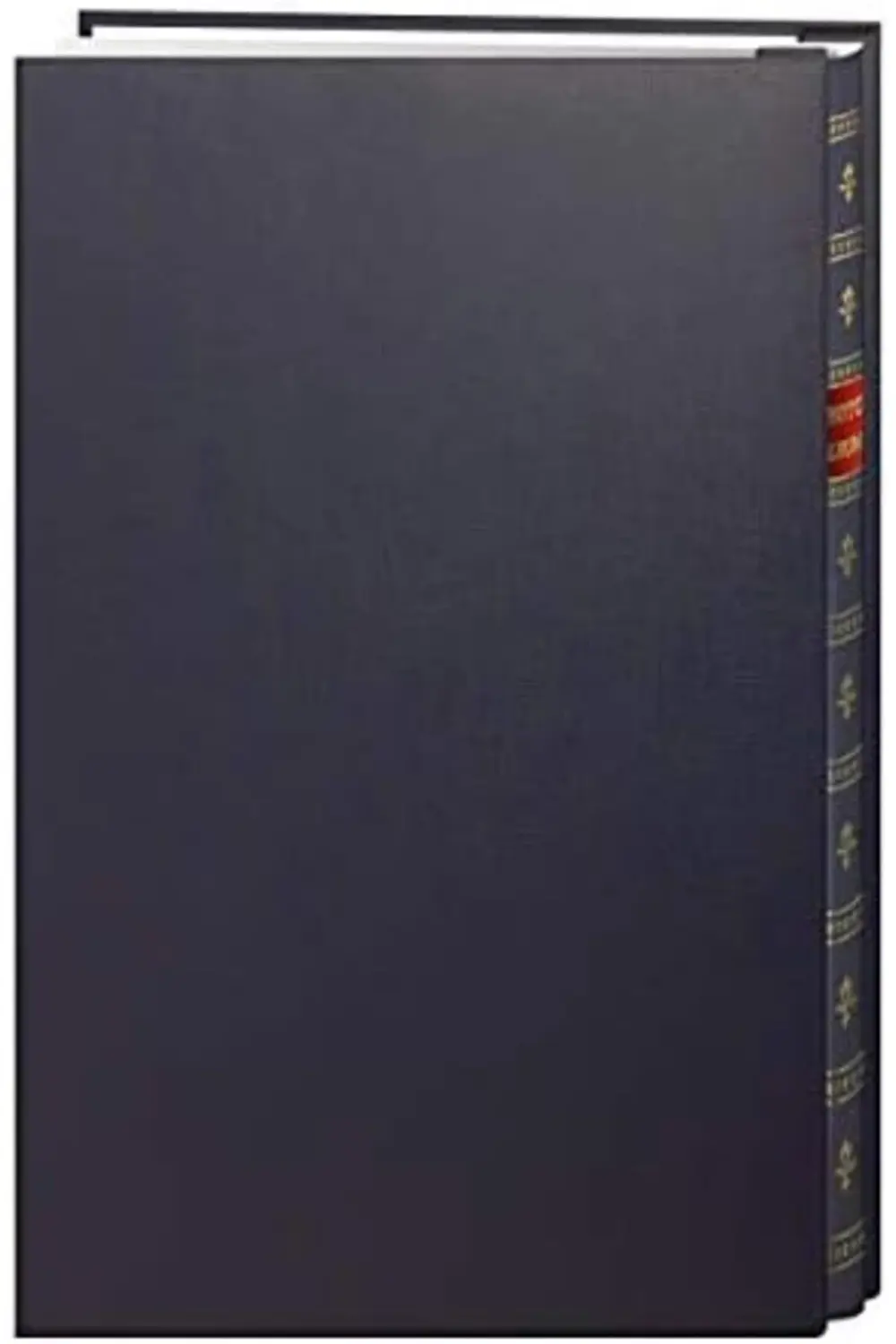 PRStoRe Photo 200-Pocket Post Bound Bay Mavi Suni Deri Fotoğraf A