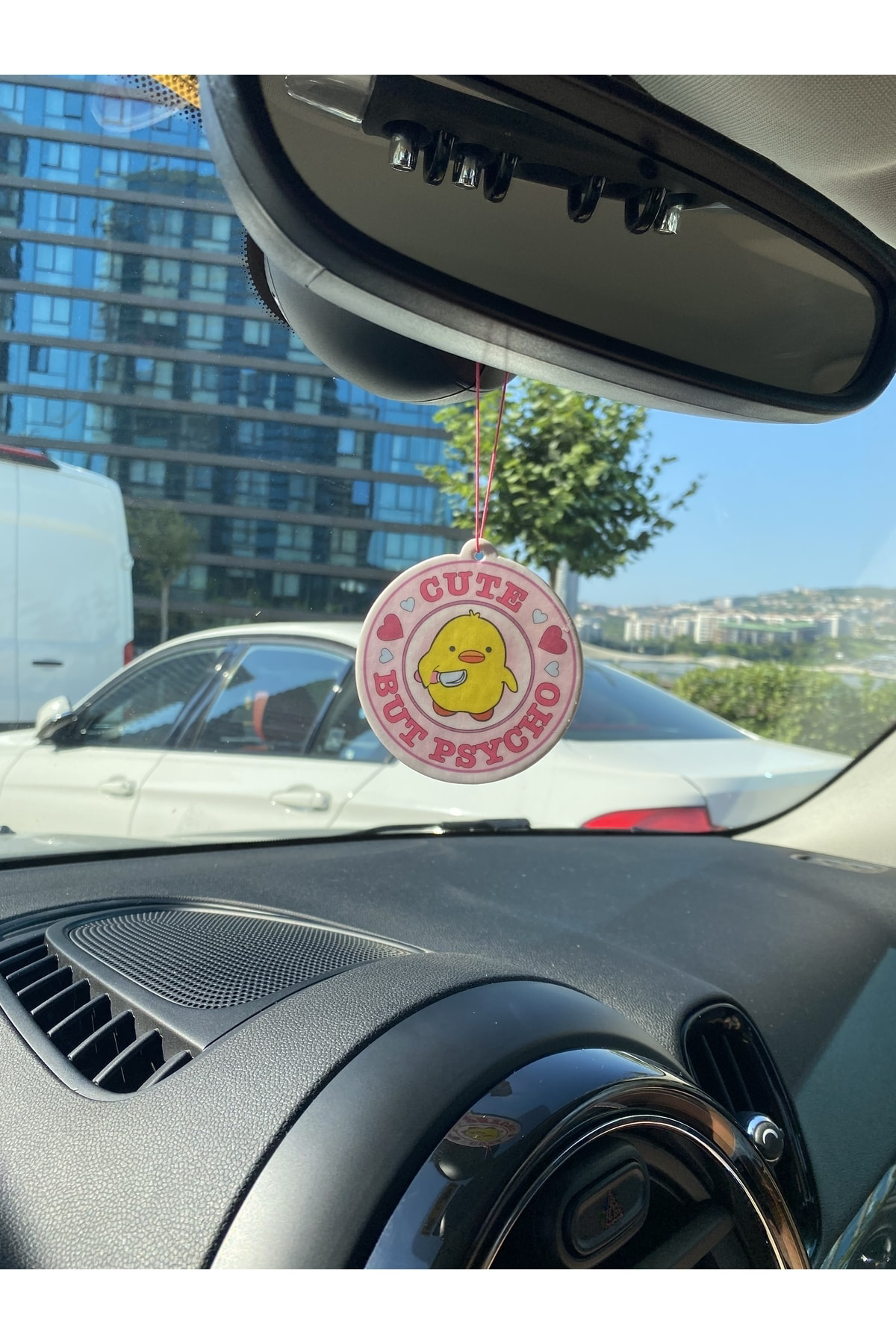 Psikopat Civciv Cute But Psycho Dekoratif Oto Kokusu