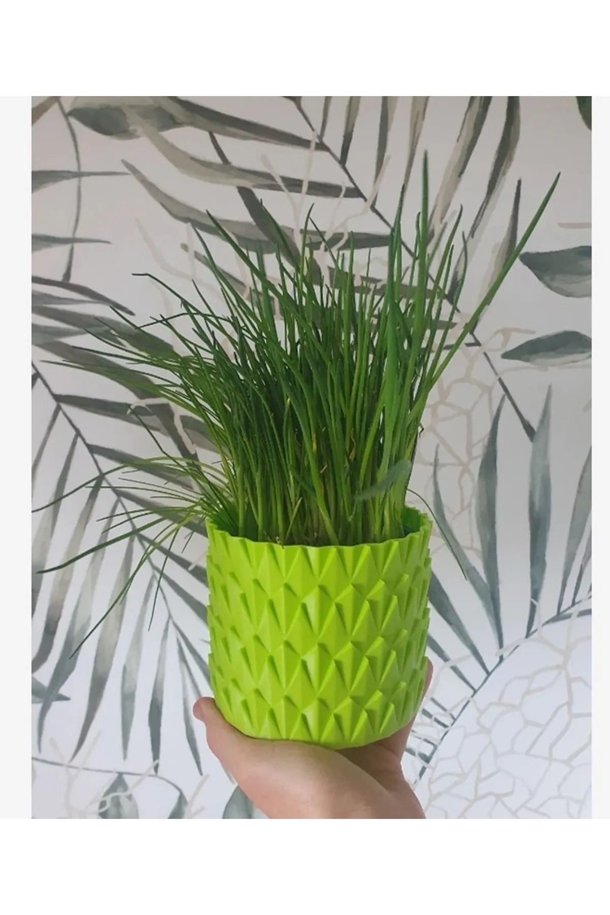 Pul Vazo & Saksı Büyük Boy (PLASTİKTİR 20 CM ÇAP 16 CM YÜKSEKLİK)