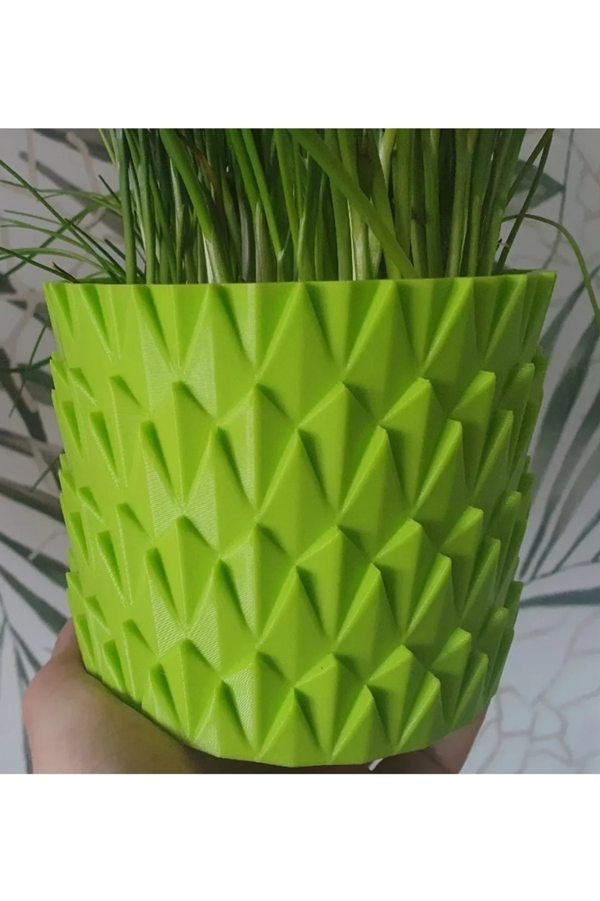 Pul Vazo & Saksı Büyük Boy (PLASTİKTİR 20 CM ÇAP 16 CM YÜKSEKLİK)