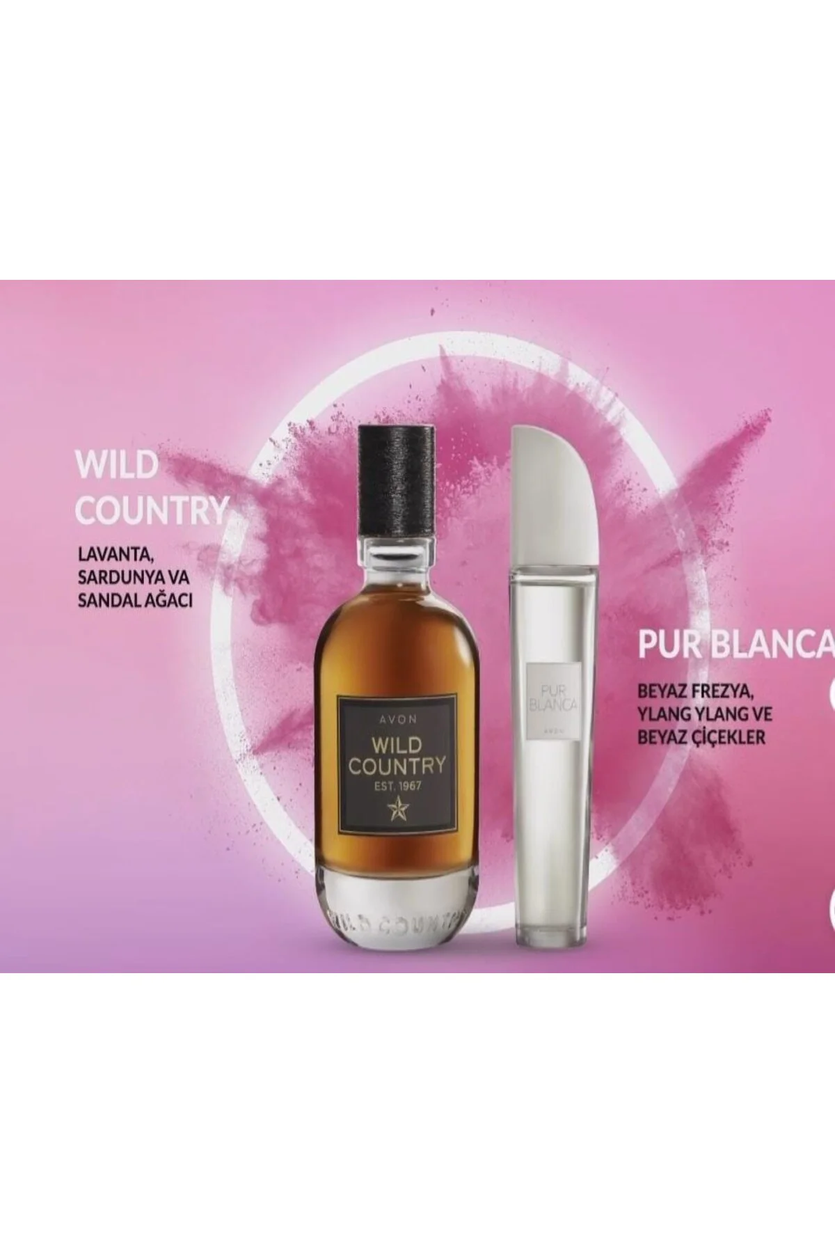 Pur Blanca 50 Ml Kadın Parfüm ve Avon Wild Country EDT 75 ml Erke