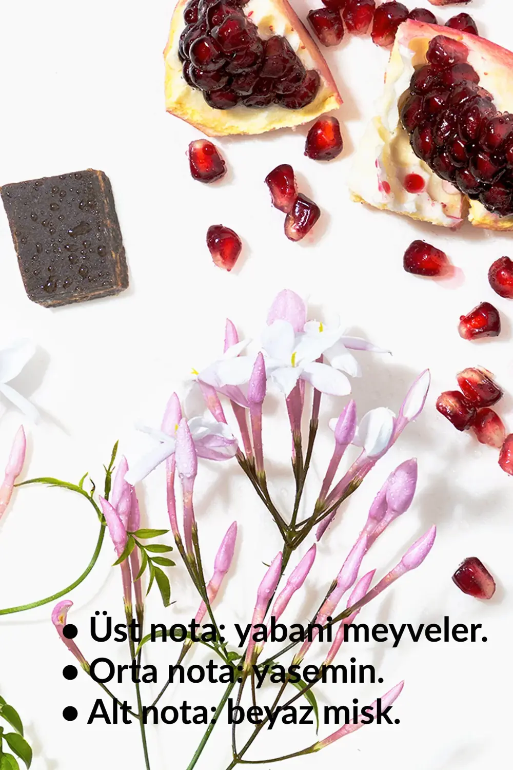 Pur Blanca ve Pur Blanca Elegance Kadın Parfüm Paketi