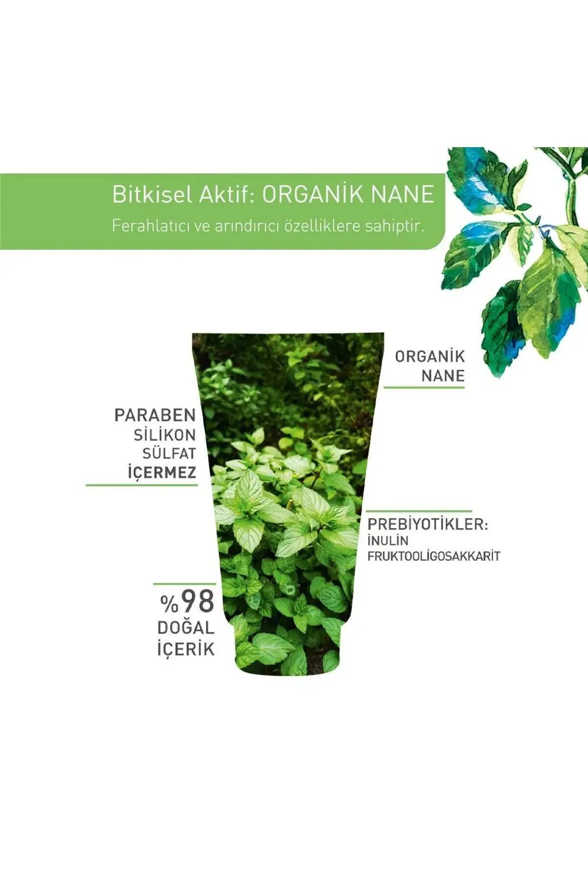 Pure Menthe-Gözenek Sıkılaştırıcı  Arındırıcı Prebiyotikli Yüz Te