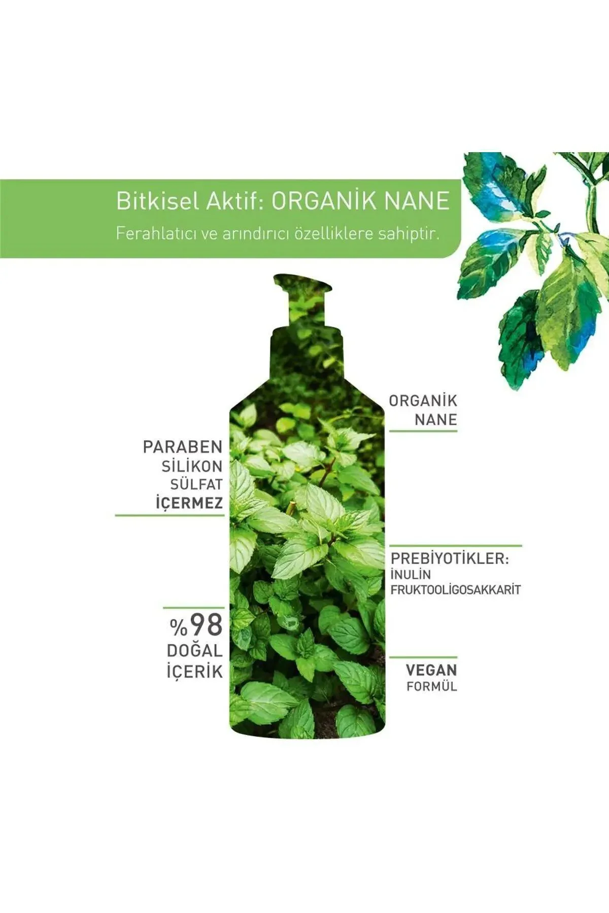 Pure Menthe-Gözenek Sıkılaştırıcı ve Derinlemesine Arındırıcı Pre