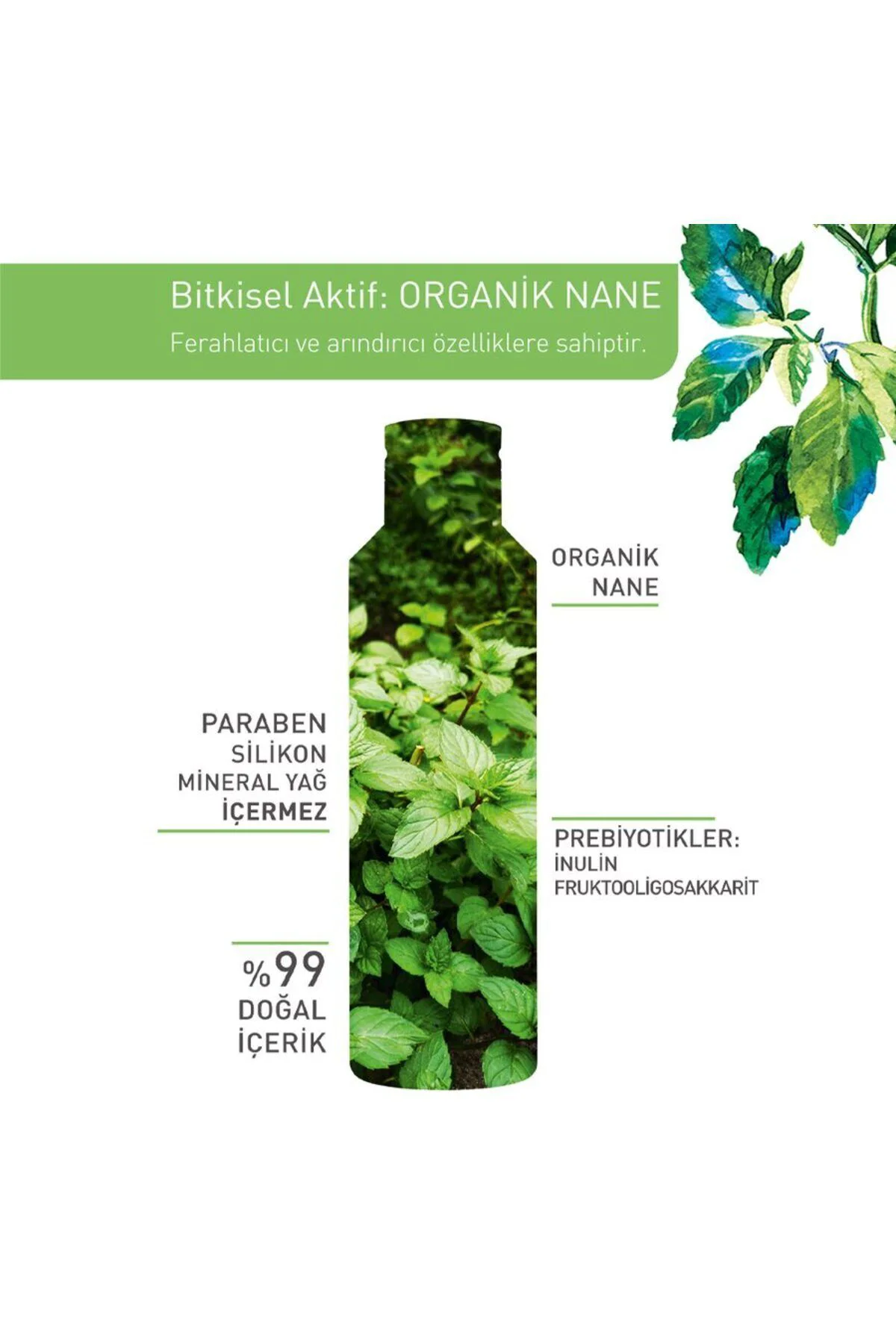 Pure Menthe Karma ve Yağlı Cilt İçin Tonik Etkili ve Arındırıcı -