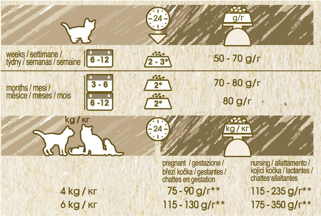 Cat Chow Purina Kitten Kedi Maması 1,5 Kg Cat Chow Purina Kitten Kedi Maması 1,5 Kg