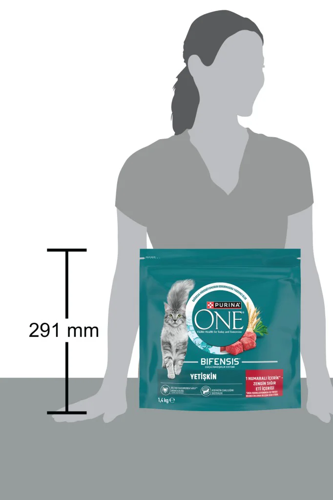 Purina One Sığır Etli Kedi Maması 1,4 Kg