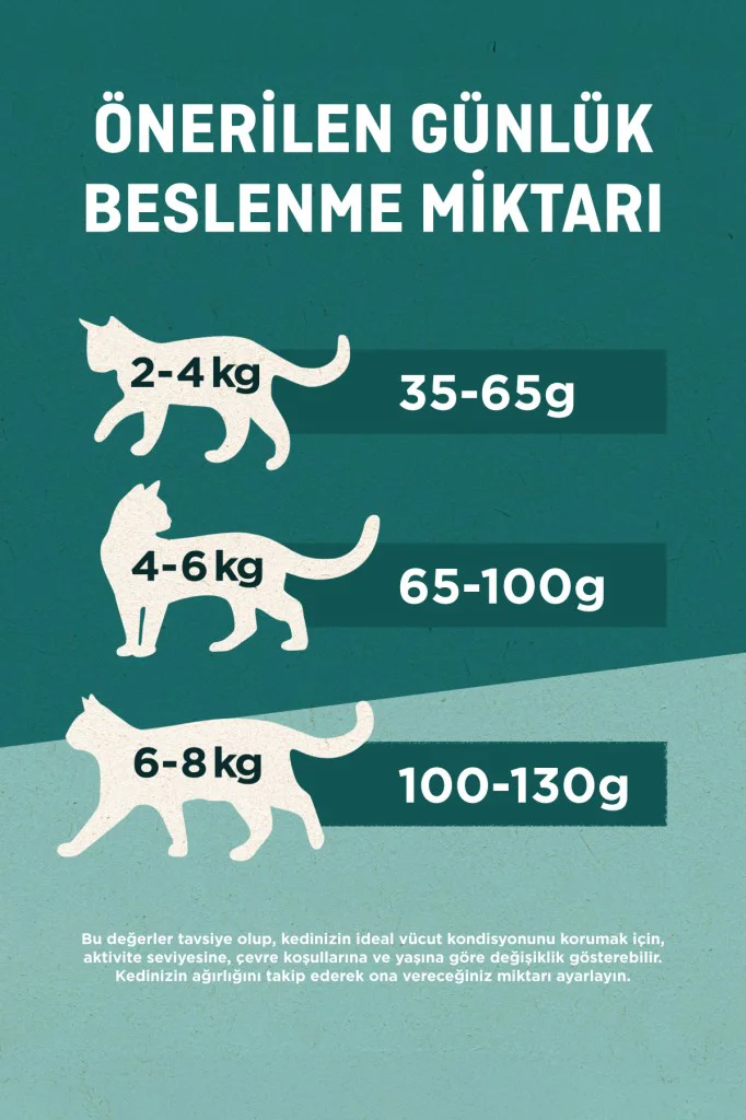 Purina One Somonlu Kısırlaştırılmış Kedi Maması 1,4 Kg