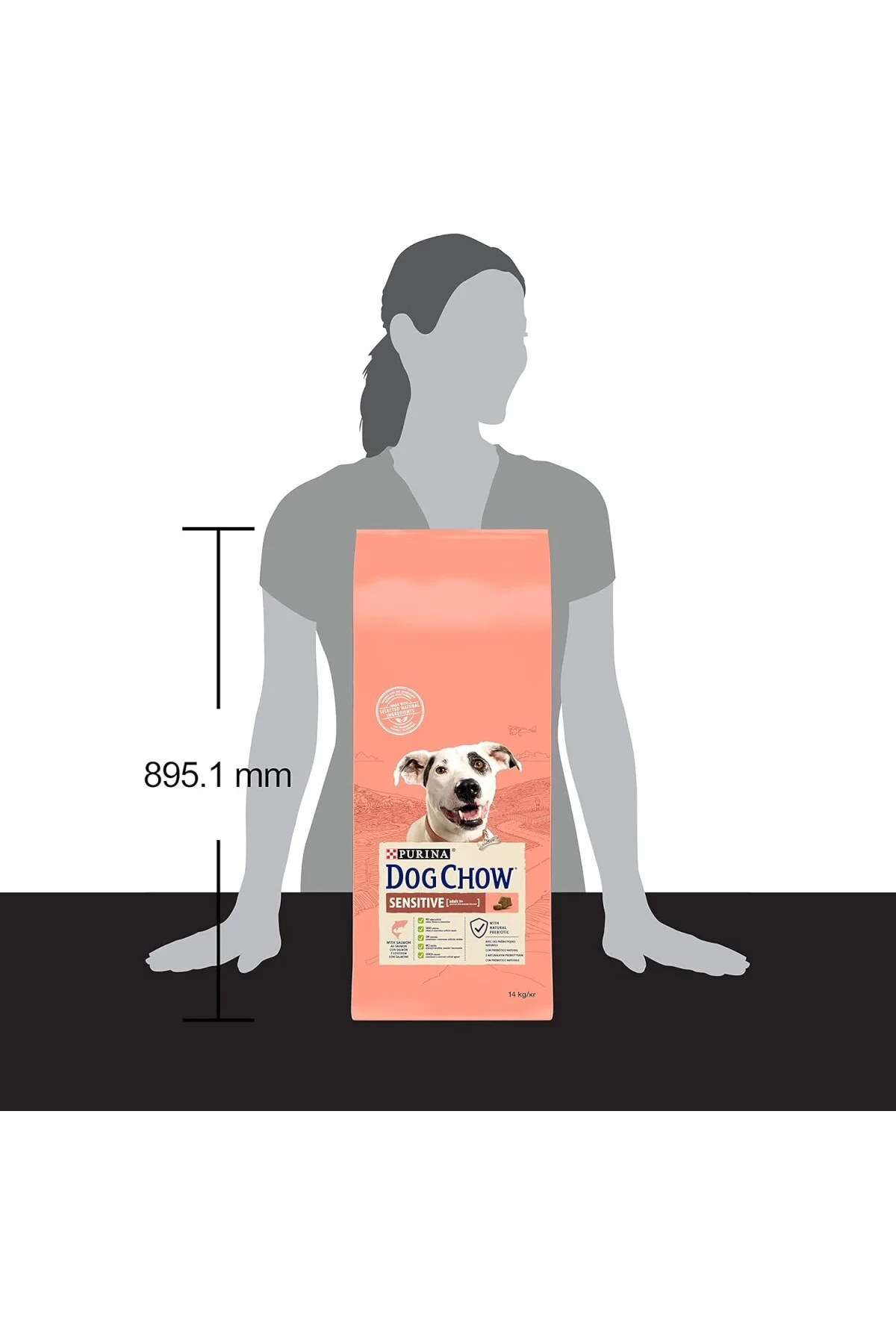 -Purina Somon Balıklı Yetişkin Köpek Maması 14 kg
