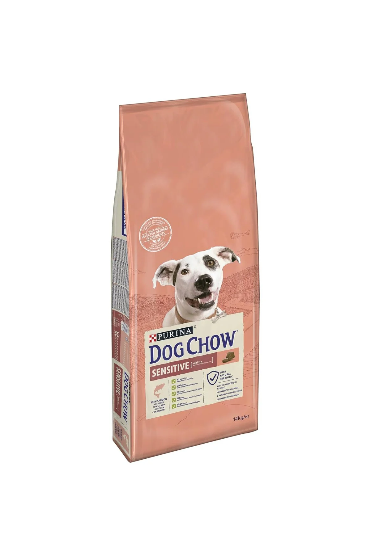 -Purina Somon Balıklı Yetişkin Köpek Maması 14 kg