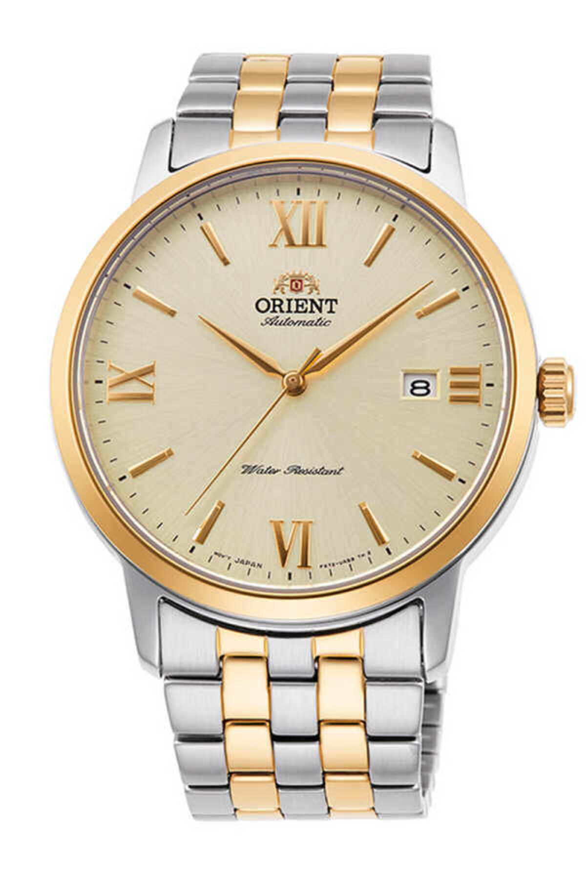 RA-AC0F08G10B Otomatik Çelik Gri Şampanya Kadran 42 mm Erkek Kol 