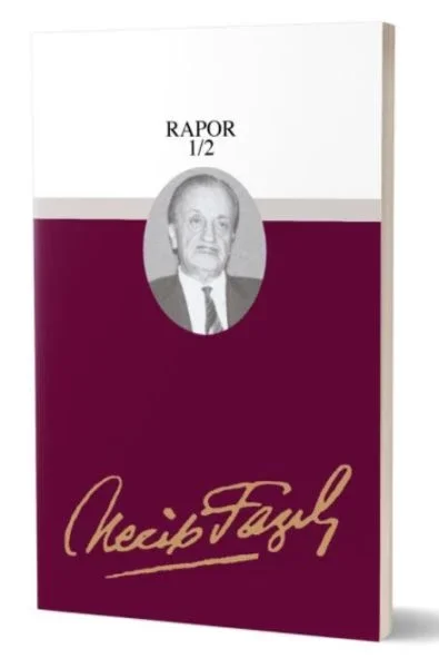 Rapor 1/2 Fiyatı, Yorumları ve Özellikleri