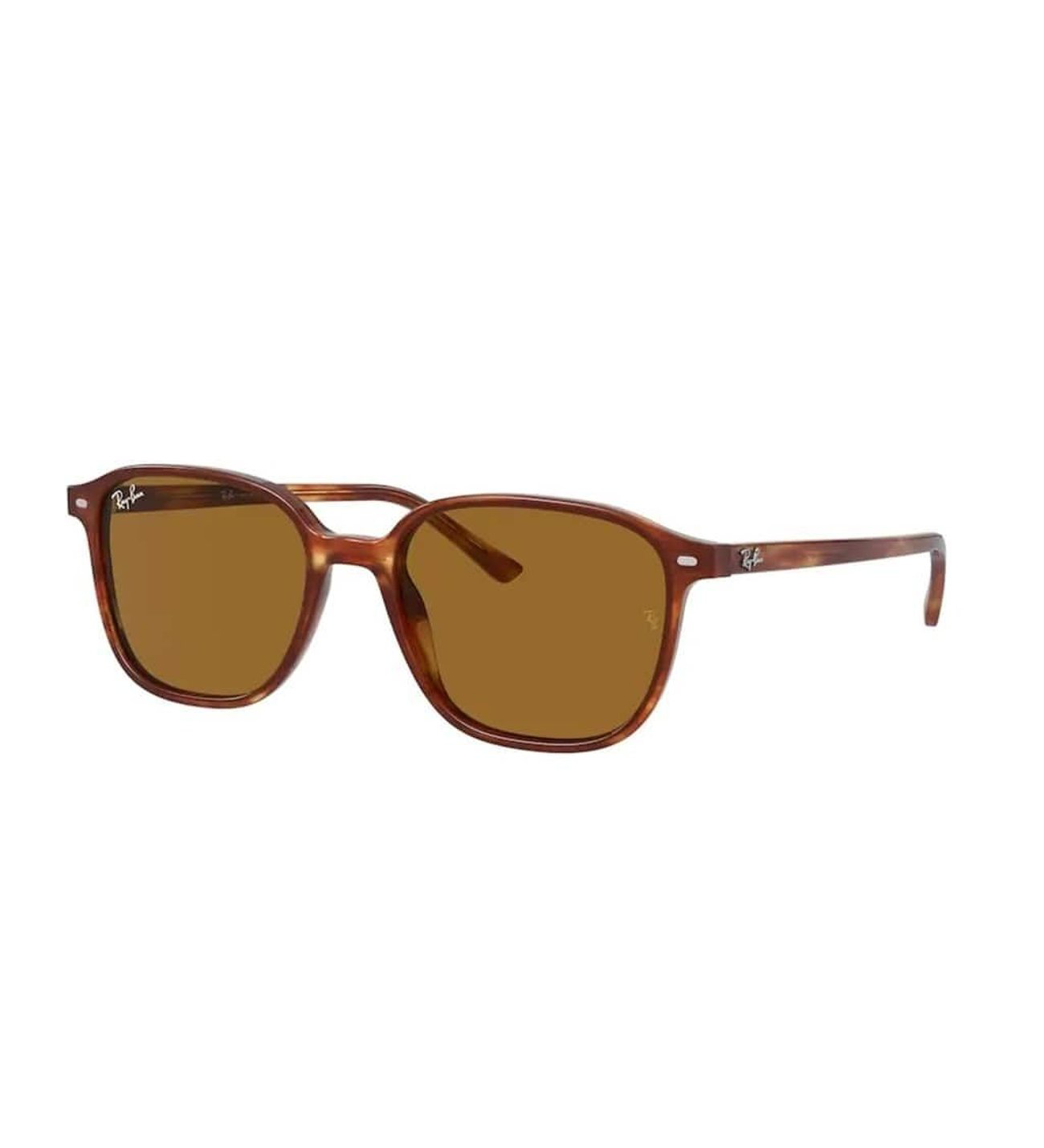 Ray-Ban RB 2193 954/33 51 Unisex Güneş Gözlüğü