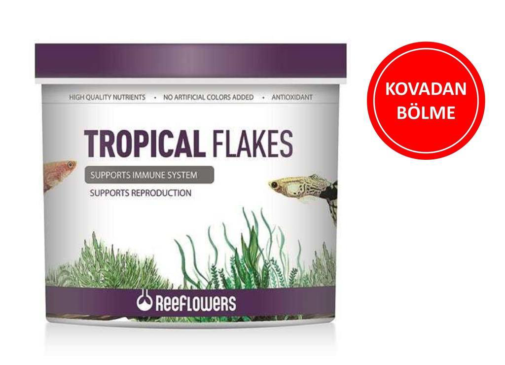 Reeflowers Tropical Flakes Balık Yemi ( Kovadan Bölme ) 50 GR