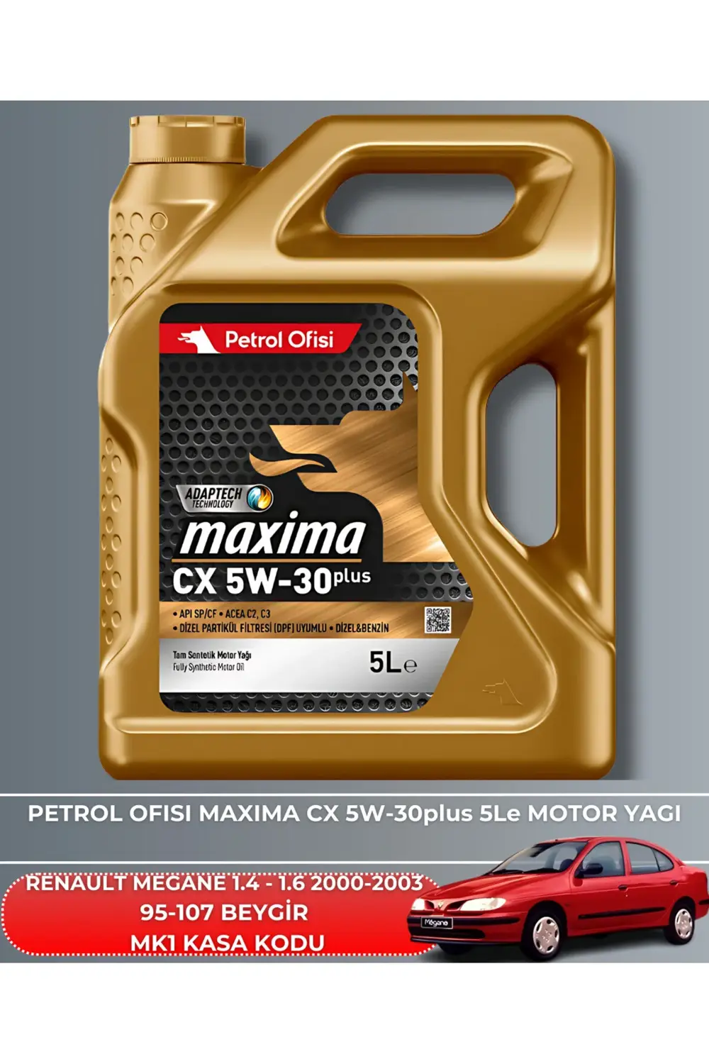 RENAULT MEGANE 1.4 - 1.6 2000-2001-2002-2003 95-107 BEYGİR FİLTRE