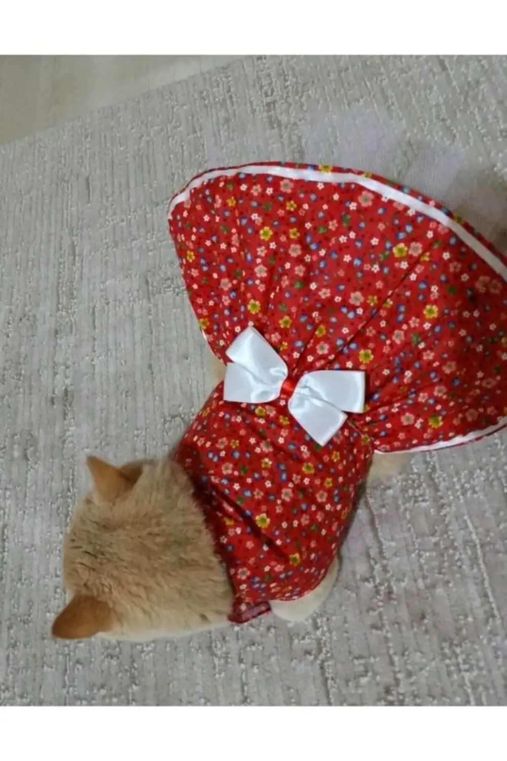 Rengarenk Çiçekli Beyaz Kurdeleli Kedi ve Köpek Kıyafeti Elbisesi