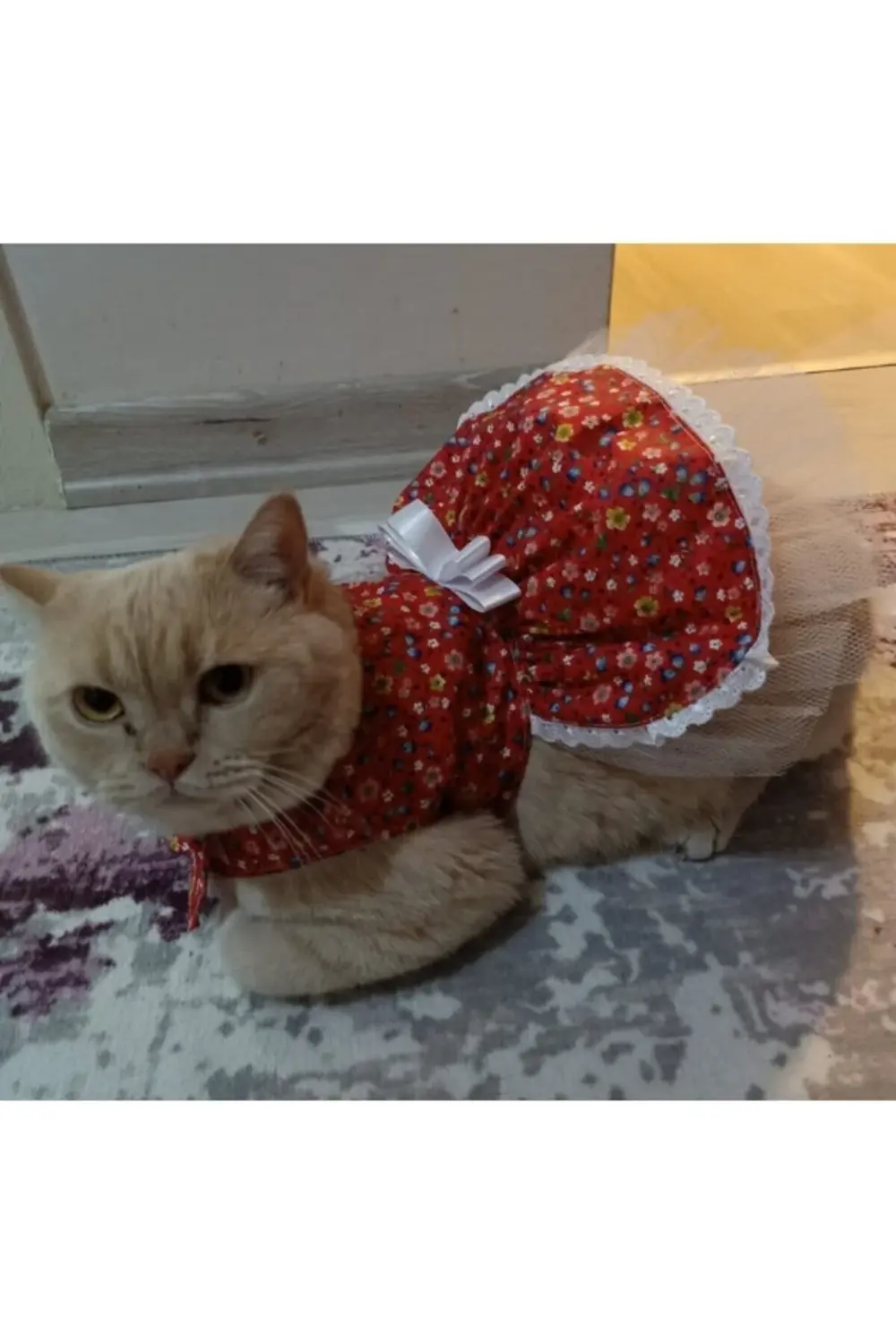 Rengarenk Çiçekli Fiyonklu Kedi ve Köpek Kıyafeti Elbisesi Large/