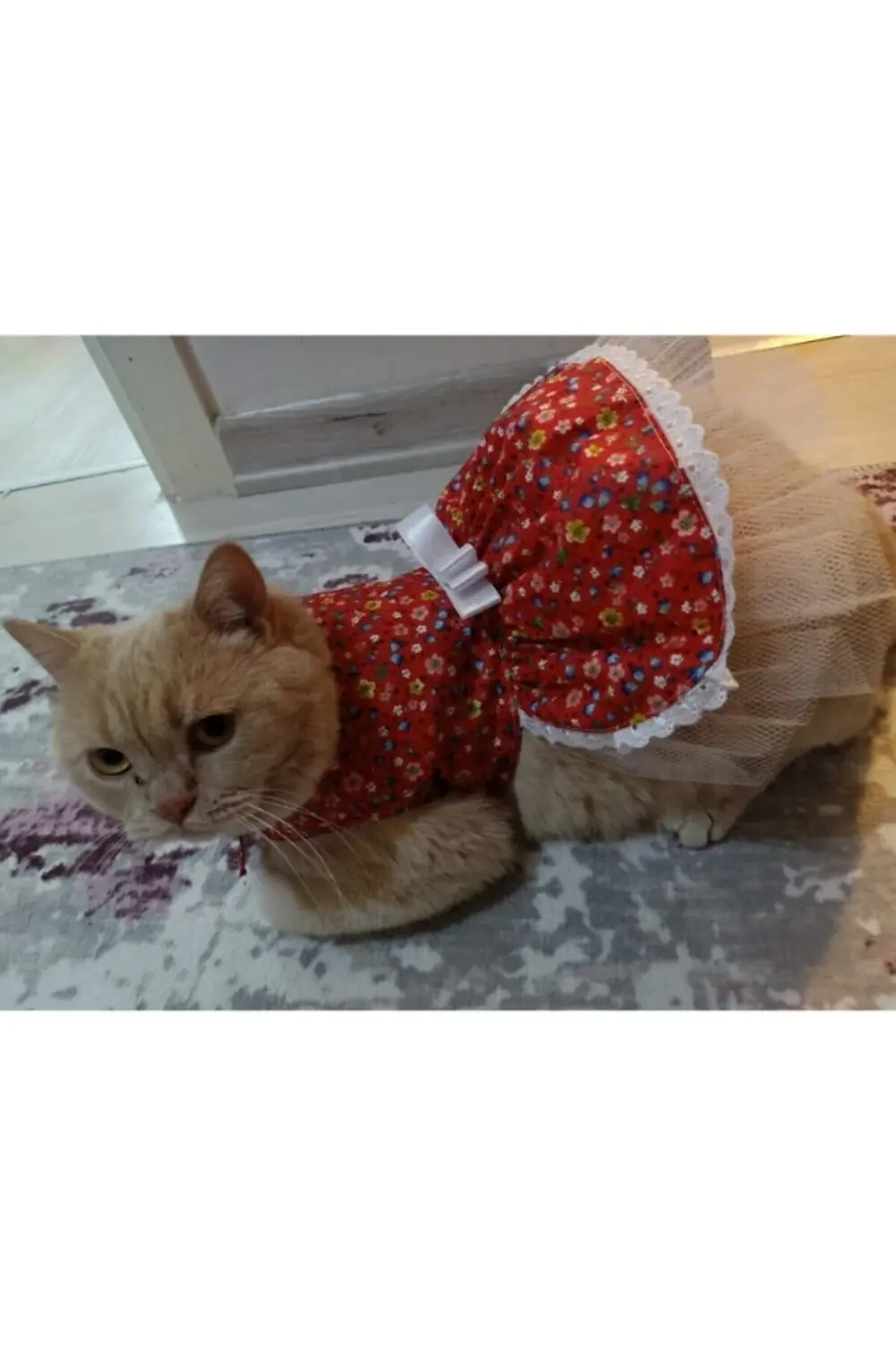 Rengarenk Çiçekli Fiyonklu Kedi ve Köpek Kıyafeti Elbisesi Large/