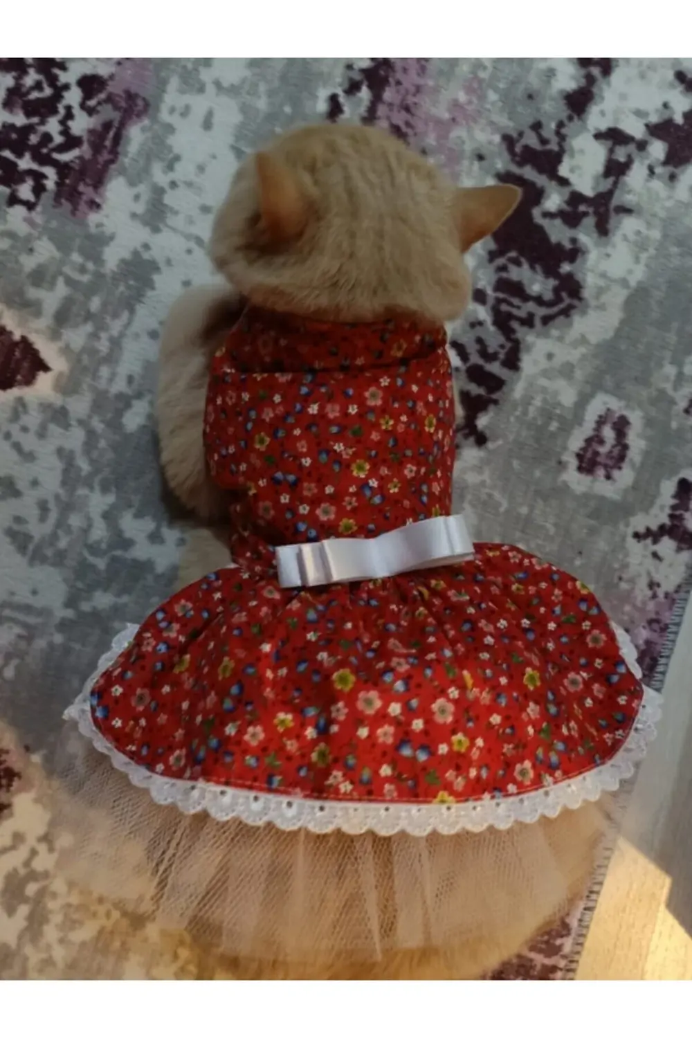 Rengarenk Çiçekli Fiyonklu Kedi ve Köpek Kıyafeti Elbisesi Large/