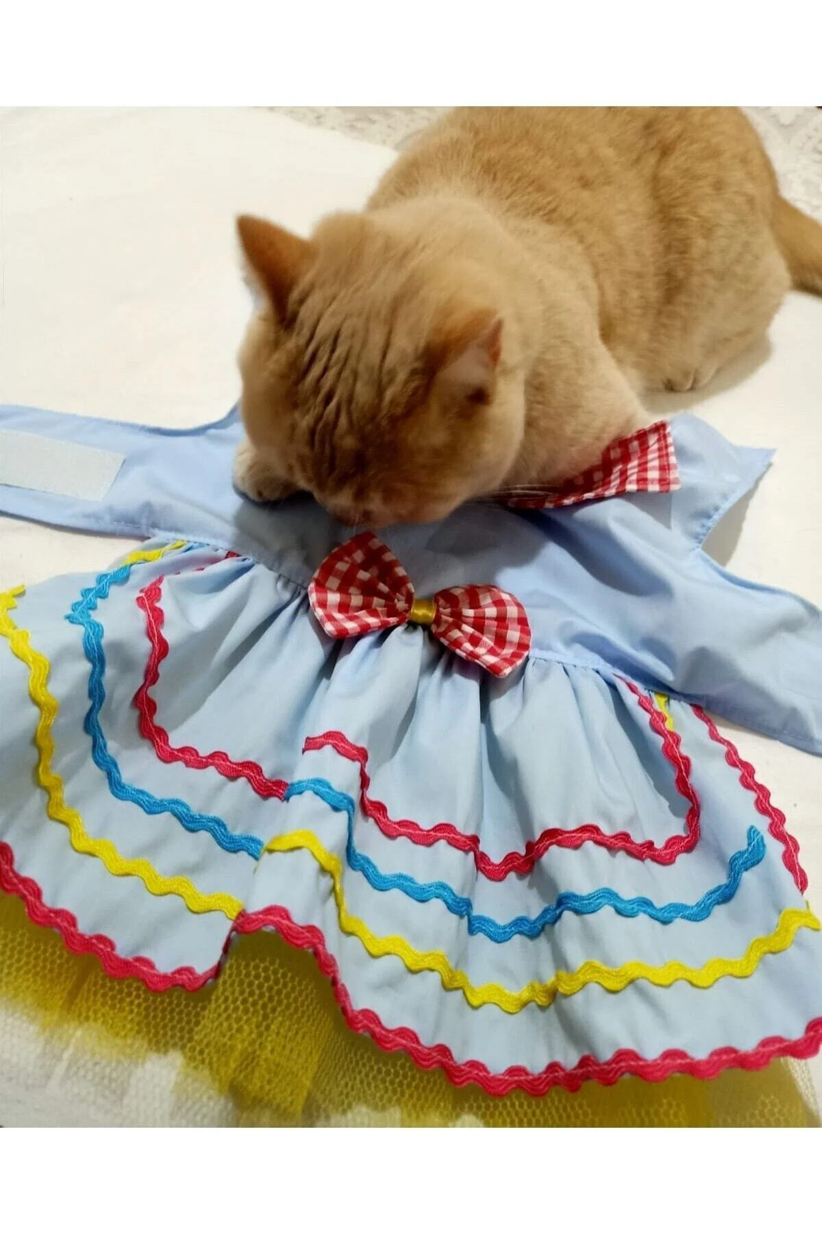 Rengarenk Festival Temalı Renkli Papyonlu Tüllü Kedi Köpek Kıyafeti Elbisesi