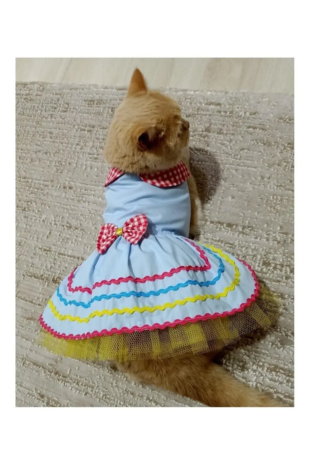 Rengarenk Festival Temalı Papyonlu Tüllü Kedi Köpek Kıyafeti Elbi