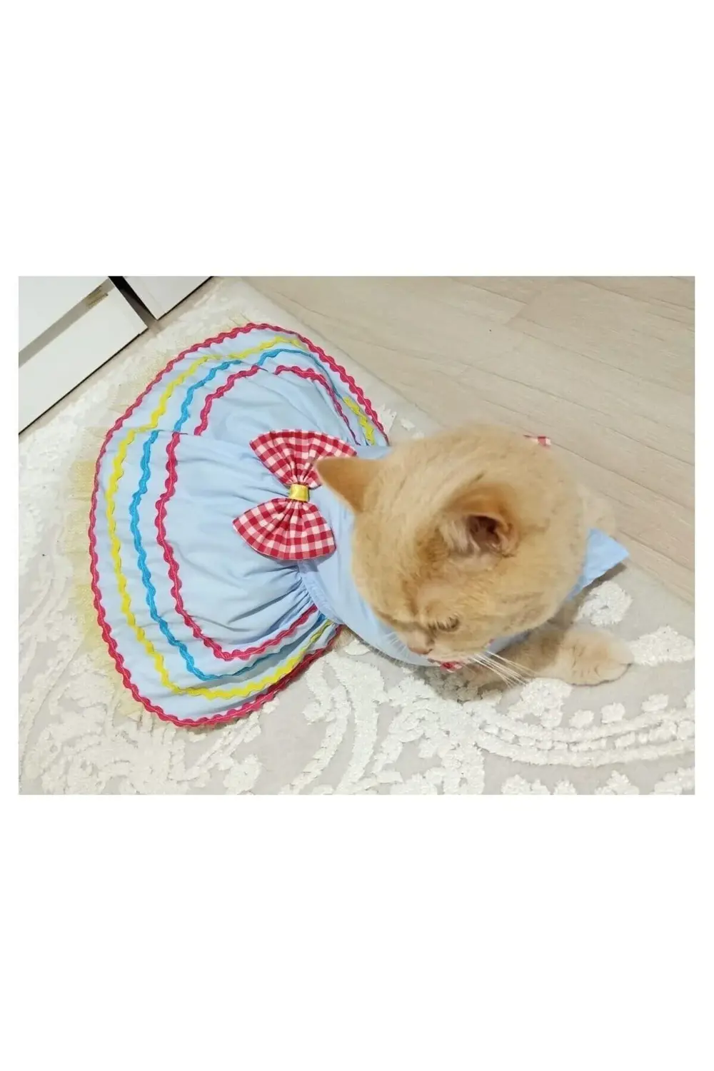 Rengarenk Festival Temalı Renkli Papyonlu Tüllü Kedi Köpek Kıyafe