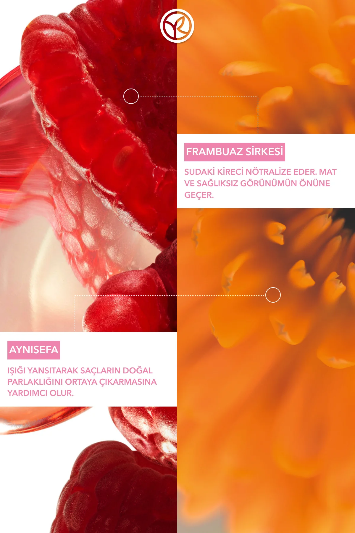 Renk Koruyucu Saç Maskesi - Boyalı Saçlar / Couleur - Vegan -200m