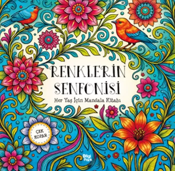 Renklerin Senfonisi – Her Yaş İçin Mandala - Çek Kopar
